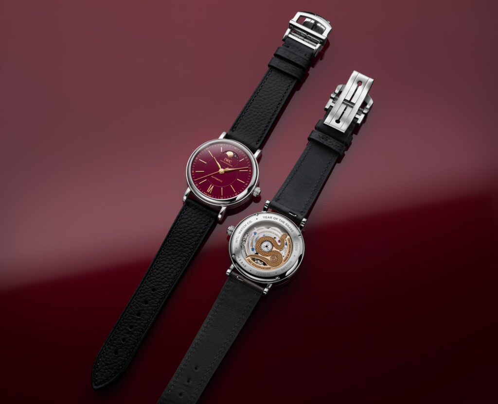IWC S visual 1