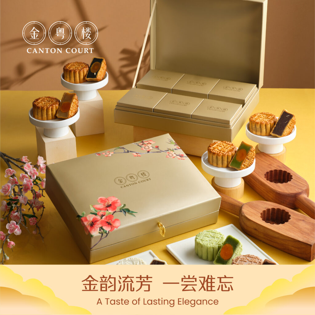 CC 800×800